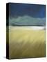 Storm Comin In-Tim Nyberg-Stretched Canvas