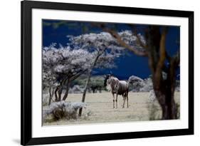 Storm Coming, 2018-Eric Meyer-Framed Photographic Print