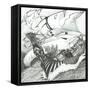 Storm Creators Java Sea, 2017-Vincent Alexander Booth-Framed Stretched Canvas