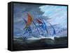 Storm creators Koro Sea, 2018-Vincent Alexander Booth-Framed Stretched Canvas