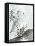 Storm Creators Molucca Sea, 2017-Vincent Alexander Booth-Framed Stretched Canvas
