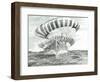 Storm Creators Teluk Tomini, 2021, (ink and pencil on paper)-Vincent Alexander Booth-Framed Giclee Print