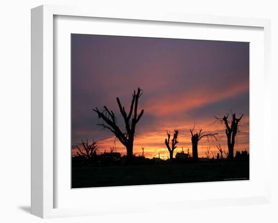 Storm Damaged Trees Silhouetted against the Setting Sun, Greensburg, Kansas, c.2007-Charlie Riedel-Framed Photographic Print