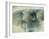 Storm Elephant-Jeremy Paul-Framed Giclee Print