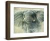 Storm Elephant-Jeremy Paul-Framed Giclee Print