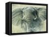 Storm Elephant-Jeremy Paul-Framed Stretched Canvas