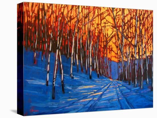Storm King Mountain in the Snow-Patty Baker-Stretched Canvas