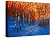 Storm King Mountain in the Snow-Patty Baker-Stretched Canvas