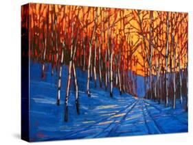 Storm King Mountain in the Snow-Patty Baker-Stretched Canvas