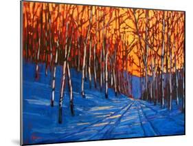 Storm King Mountain in the Snow-Patty Baker-Mounted Art Print