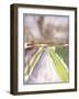 Storm on route, 1995-Claudia Hutchins-Puechavy-Framed Giclee Print