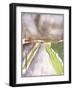 Storm on route, 1995-Claudia Hutchins-Puechavy-Framed Giclee Print