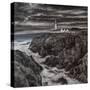 Storm on the Rocks-Margo Starkey-Stretched Canvas