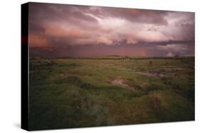Storm on the Savanna-DLILLC-Stretched Canvas