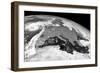 Storm Ophelia, Satellite Image-null-Framed Photographic Print