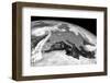 Storm Ophelia, Satellite Image-null-Framed Photographic Print