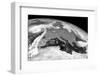 Storm Ophelia, Satellite Image-null-Framed Photographic Print