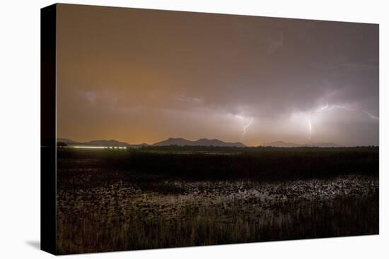 Storm over Lake Skadar at Vranjina, Lake Skadar National Park, Montenegro, May 2008-Radisics-Stretched Canvas