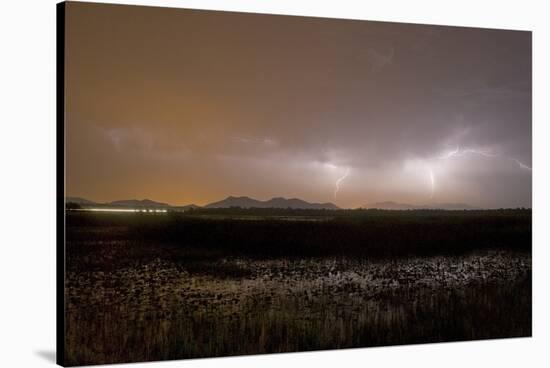 Storm over Lake Skadar at Vranjina, Lake Skadar National Park, Montenegro, May 2008-Radisics-Stretched Canvas