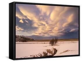 Storm over Oraefi Near Vatnajokull NP During Winter-Martin Zwick-Framed Stretched Canvas