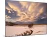 Storm over Oraefi Near Vatnajokull NP During Winter-Martin Zwick-Mounted Photographic Print