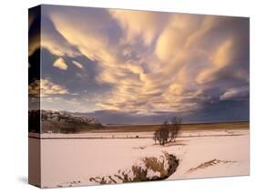 Storm over Oraefi Near Vatnajokull NP During Winter-Martin Zwick-Stretched Canvas