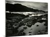 Storm Over Point Lobos, California, 1954-Brett Weston-Mounted Photographic Print