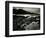 Storm Over Point Lobos, California, 1954-Brett Weston-Framed Photographic Print