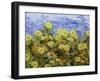 Storm over Summer Garden-Allan Friedlander-Framed Art Print