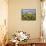 Storm over Summer Garden-Allan Friedlander-Framed Stretched Canvas displayed on a wall