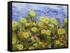 Storm over Summer Garden-Allan Friedlander-Framed Stretched Canvas