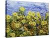 Storm over Summer Garden-Allan Friedlander-Stretched Canvas