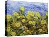 Storm over Summer Garden-Allan Friedlander-Stretched Canvas