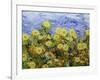 Storm over Summer Garden-Allan Friedlander-Framed Art Print