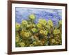 Storm over Summer Garden-Allan Friedlander-Framed Art Print