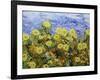 Storm over Summer Garden-Allan Friedlander-Framed Art Print