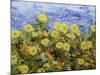 Storm over Summer Garden-Allan Friedlander-Mounted Art Print