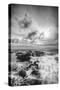 Storm Passing at Thor's Well Oregon Coast Black White-Vincent James-Stretched Canvas