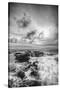 Storm Passing at Thor's Well Oregon Coast Black White-Vincent James-Stretched Canvas