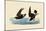 Storm Petrels-John James Audubon-Mounted Giclee Print