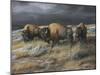 Storm Remnants-Trevor V. Swanson-Mounted Giclee Print