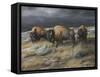 Storm Remnants-Trevor V. Swanson-Framed Stretched Canvas