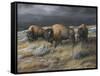 Storm Remnants-Trevor V. Swanson-Framed Stretched Canvas