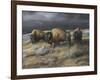 Storm Remnants-Trevor V. Swanson-Framed Giclee Print