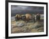 Storm Remnants-Trevor V. Swanson-Framed Giclee Print