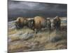 Storm Remnants-Trevor V. Swanson-Mounted Giclee Print