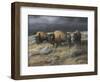 Storm Remnants-Trevor V. Swanson-Framed Giclee Print