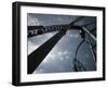 Storm Runner Rolleer Coaster at Hersheypark, Pennsylvania-Carolyn Kaster-Framed Photographic Print