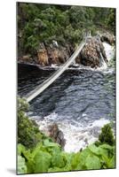 Storm's River Hiking Trail to Suspension Bridges over River Mouth-Kim Walker-Mounted Photographic Print