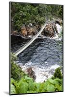 Storm's River Hiking Trail to Suspension Bridges over River Mouth-Kim Walker-Mounted Photographic Print